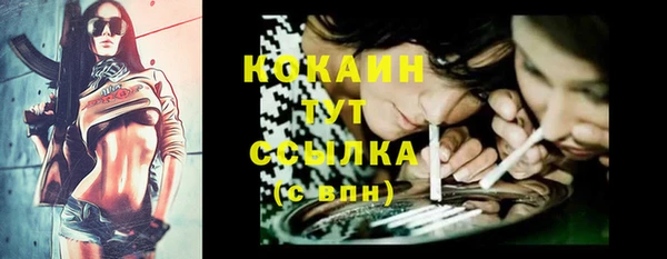 спиды Алексеевка