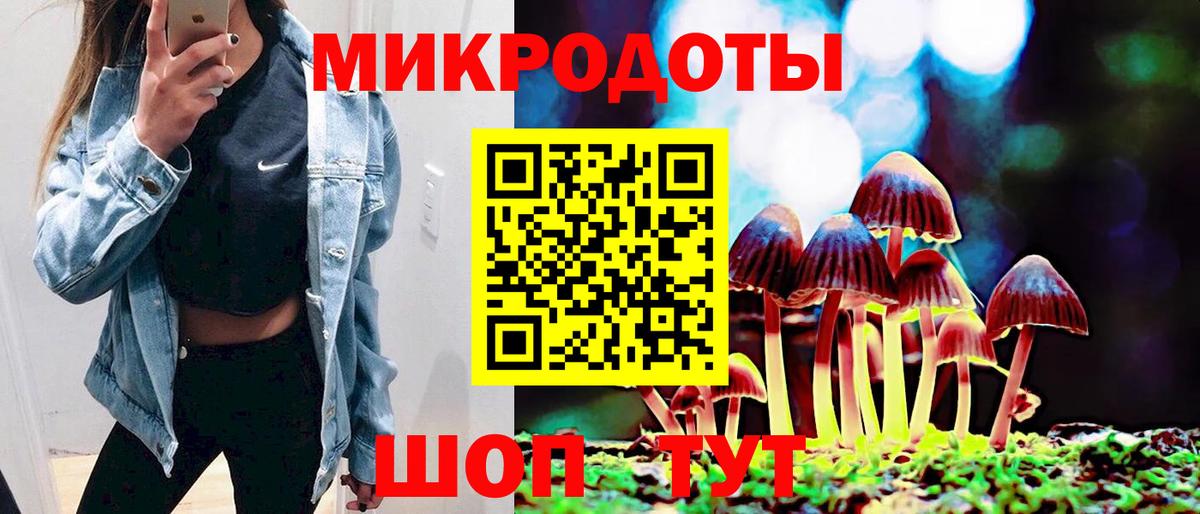 Псилоцибиновые грибы Psilocybine cubensis  Вход с VPN  Томск 